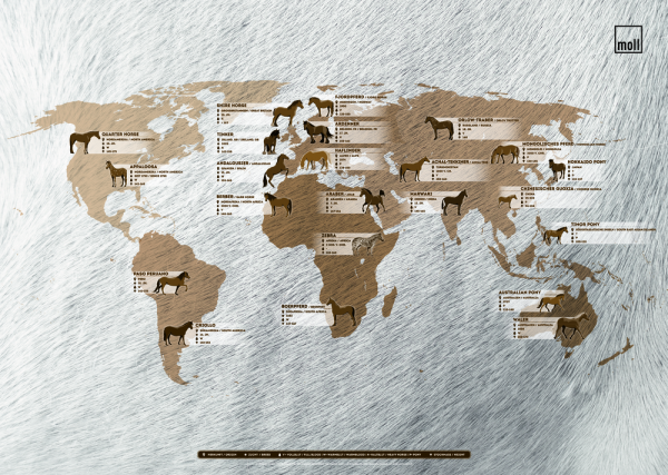 Schreibtischunterlage Pferde